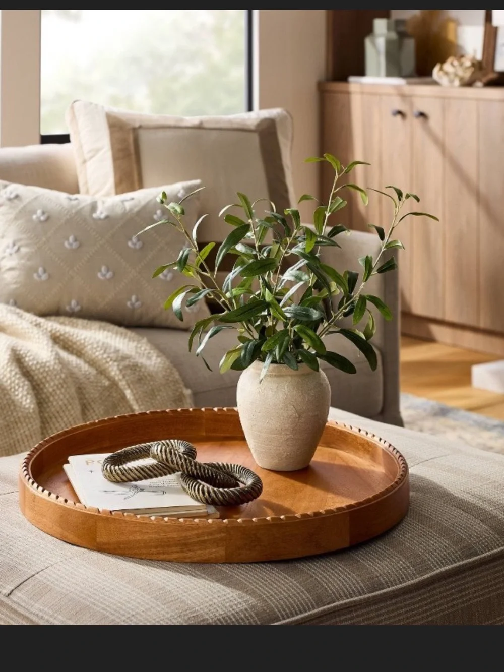 Small Olive Leaf Arrangement - Threshold™ designed with Studio McGee